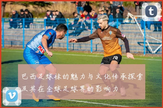 巴西足球袜的魅力与文化传承探索及其在全球足球界的影响力