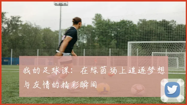 我的足球课：在绿茵场上追逐梦想与友情的精彩瞬间