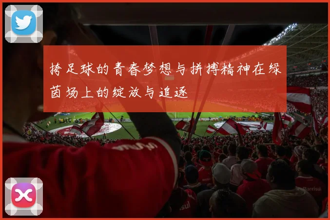 挎足球的青春梦想与拼搏精神在绿茵场上的绽放与追逐