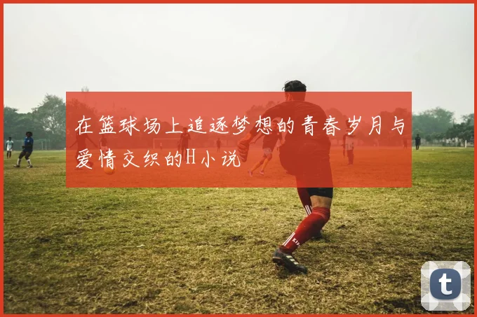 在篮球场上追逐梦想的青春岁月与爱情交织的H小说